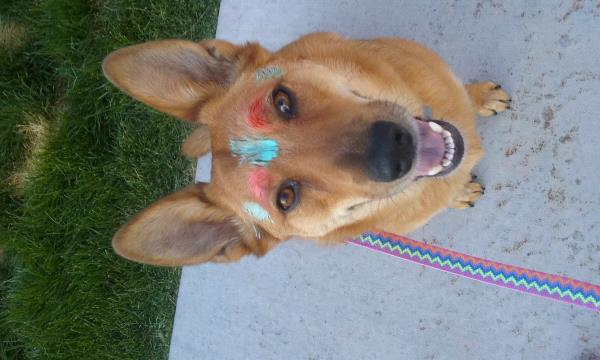/Images/uploads/Humane Society of Utah/HSUCalendar/entries/651thumb.jpg
